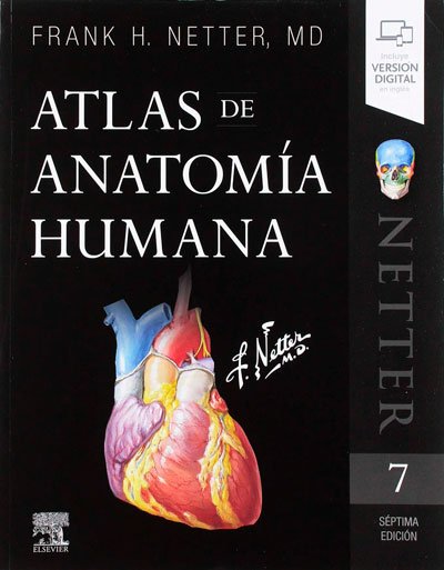 atlas-anatomía-humana-7-edicion